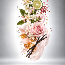 Notes olfactives de Pour toujours à jamais – Rose & Oud