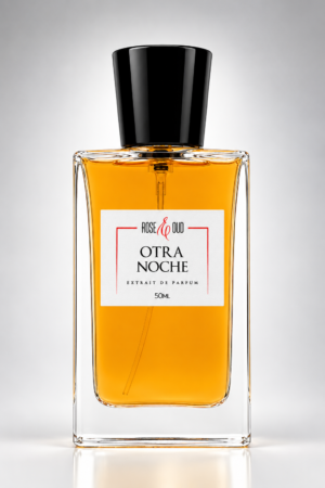 Otra Noche